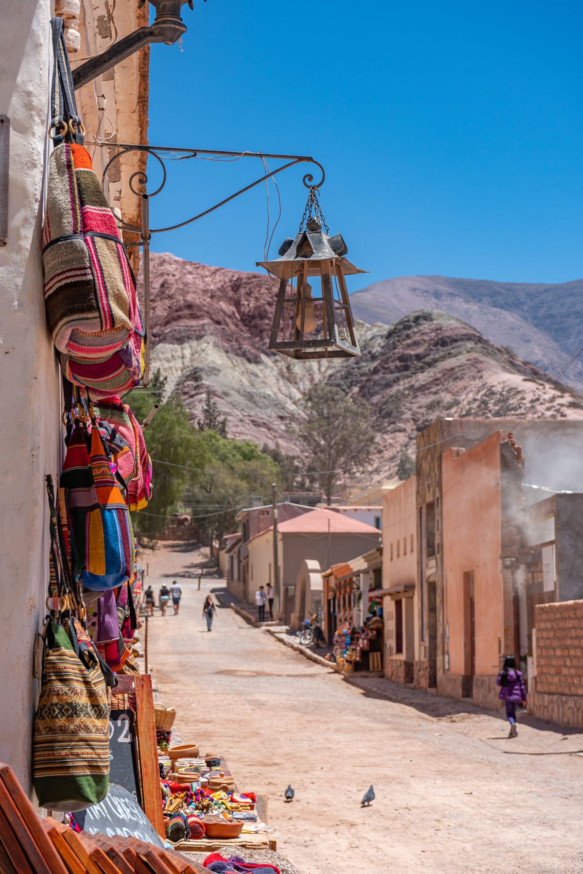 SALTA CAFAYATE Y HUMAHUACA - imagen 1