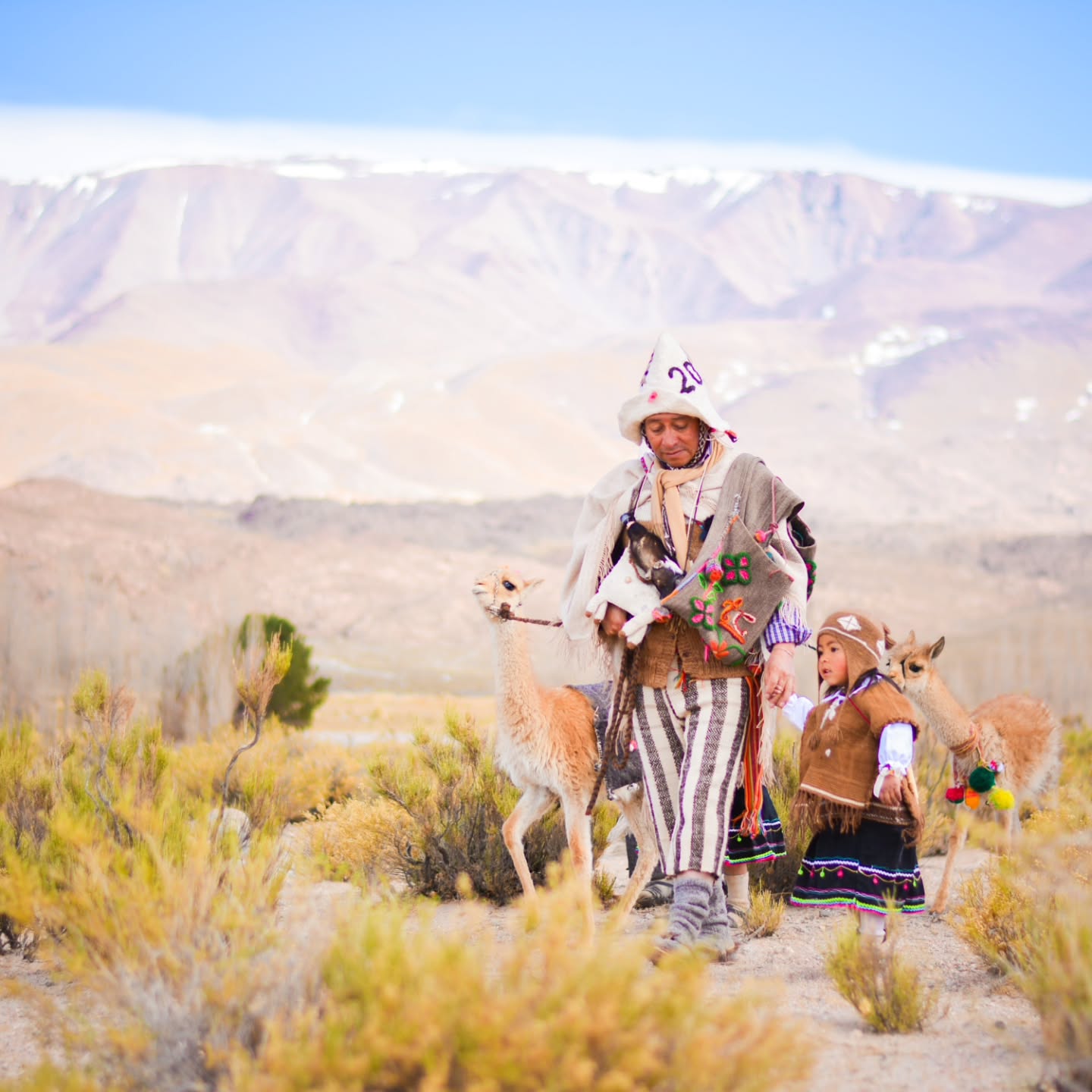 CATAMARCA - imagen 6