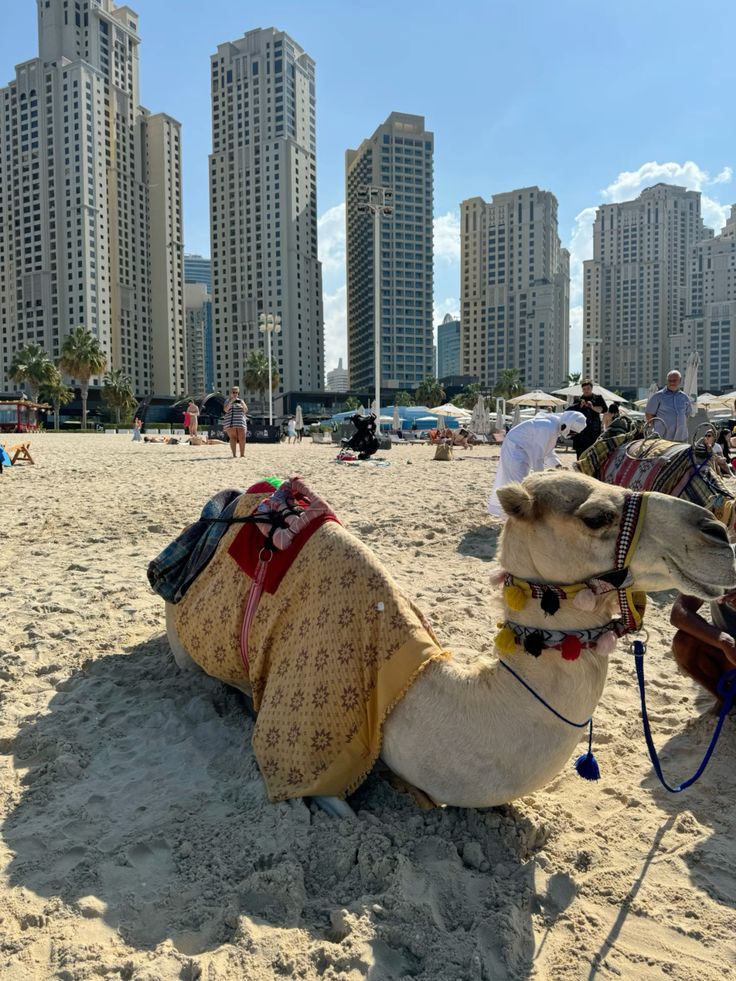 TURQUÍA Y DUBAI - imagen 3
