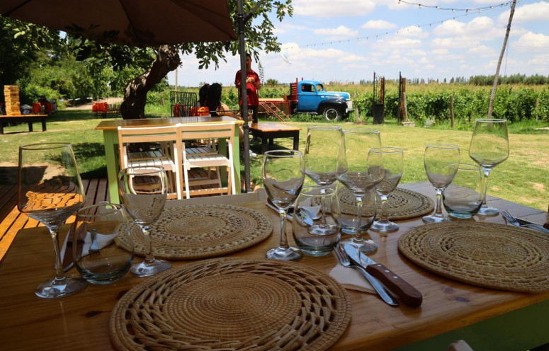 MENDOZA CON ALMUERZO EN BODEGA - imagen 3