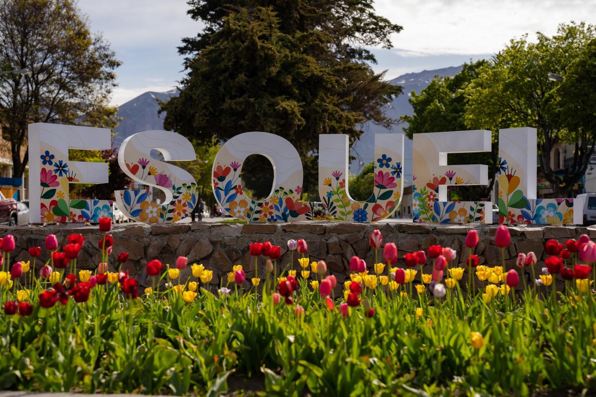 TULIPANES EN ESQUEL - imagen 7