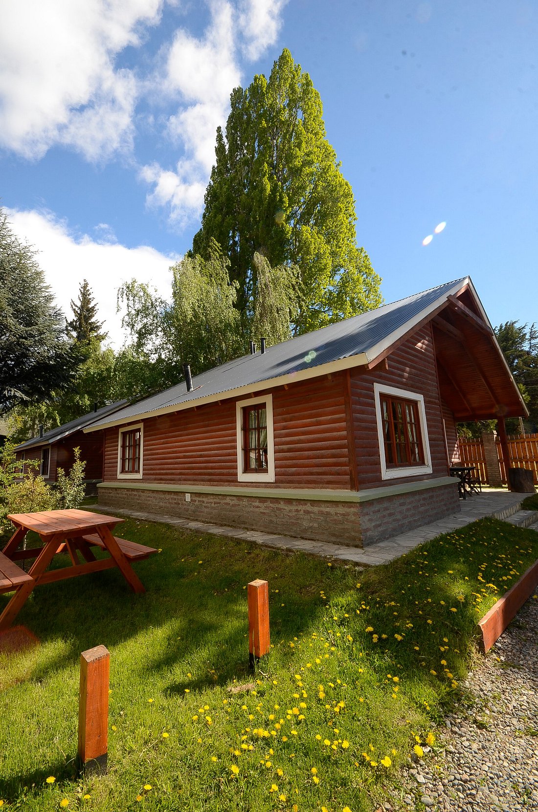 TULIPANES EN ESQUEL - imagen 8